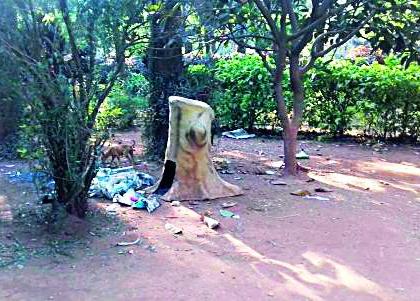 Trash pile in a mud forest | चिखलदऱ्याच्या वनउद्यानात कचऱ्यांचे ढीग