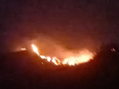 Fire in Melghat; Five hundred hectares of forest ash | मेळघाटात उसळला आगडोंब; पाचशे हेक्टरचे जंगल खाक 