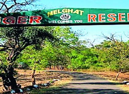 Tiger Reserve's control of the Tiger Reserve at the Melghat now | मेळघाटवर आता व्याघ्र प्रकल्पाचे एकछत्री नियंत्रण