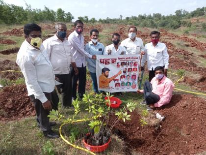 Plantation at Mohadi on behalf of Prahar Sanghatana | प्रहार संघटनेच्या वतीने मोहाडी येथे वृक्षारोपण