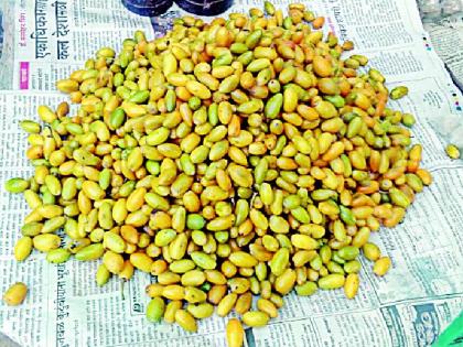 Rannaeva Khirna market | रानमेवा खिरन्या बाजारात Rannaeva Khirna market | रानमेवा खिरन्या बाजारात