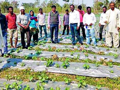 Agriculture Worker Farmer Visits | कृषी कर्मचारी शेतकऱ्यांच्या भेटीला