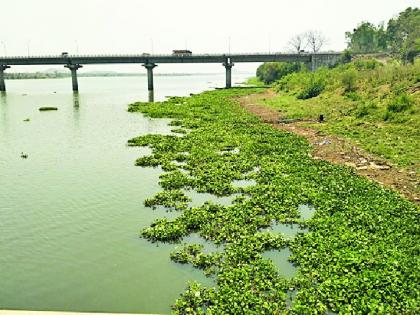 Citizens' wander for water in the reservoir | भंडाऱ्यात पाण्यासाठी नागरिकांची भटकंती