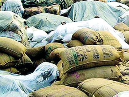 223 crore arrears of grain bonus | धानाच्या बोनसचे 223 कोटी थकीत 223 crore arrears of grain bonus | धानाच्या बोनसचे 223 कोटी थकीत