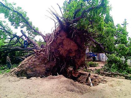 Night and rain in the night | रात्री पाऊस अन् दिवसा उन्ह