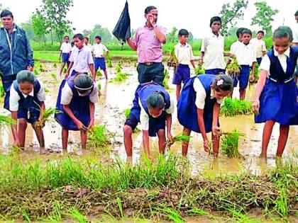 The students threw the leaves, the farmers gave a great deal of appreciation | विद्यार्थ्यांनी पाडली पात, शेतकऱ्यांनी दिली कौतुकाची थाप