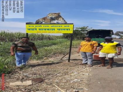 Careful! Next up is the wildlife | सावधान! पुढे वन्यप्राणी आहे