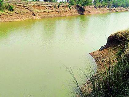 Gosekhurd's canal becomes the valley of death | गोसेखुर्दचा नहर ठरला मृत्यूचा घाट