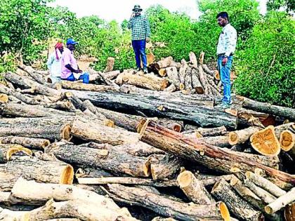 Five villages heard the 'Karkar' harvest, but it did not fall on the ears of 'those' guards | ‘करकर’ कापणी ऐकली पाच गावांनी, ना पडली ‘त्या’ रक्षकांच्या कानी