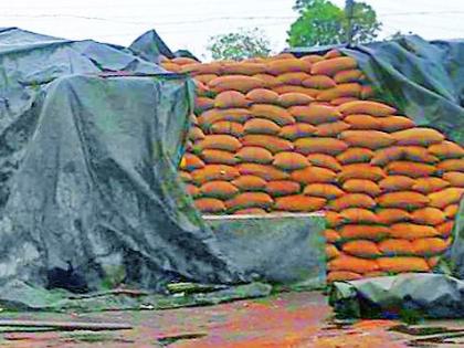 23 thousand quintals of rice paddy in the area | २३ हजार क्विंटल धान केंद्र परिसरात उघड्यावरच