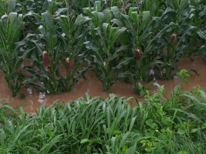 Due to the deluge, the river banks are under water | गिरणाच्या महापुरामुळे नदीकाठची शेती पाण्याखाली