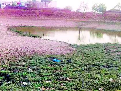 645 mama pond dead in the district | जिल्ह्यातील ६४५ मामा तलाव मृतावस्थेत