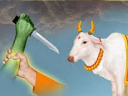 Demand for implementation of cow-slaughter ban | गो-हत्याबंदीची अंमलबजावणी करण्याची मागणी