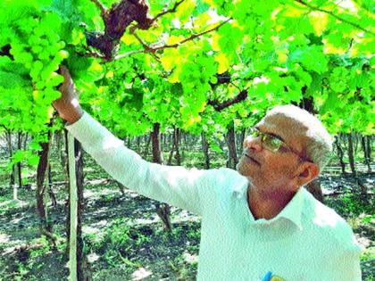 The workers of the morning also hit the laborers | पहाटेच्या गारव्याचा शेतकऱ्यांसह मजुरांनाही फटका