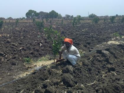 Farmers' struggle for survival of orchards | फळबागा जगवण्यासाठी शेतकऱ्यांची धडपड