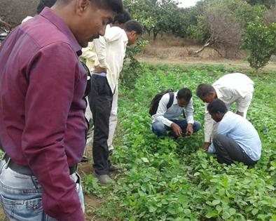 Calf trapped by leopard in Hadgaon Shivar | हदगाव शिवारात बिबट्याने पाडला वासराचा फडशा