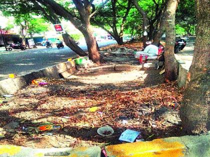 Disgruntled among citizens: Garbidnagar-Karmayogiinagar area is not a garbage divider Kachrakundi | नागरिकांमध्ये नाराजी : गोविंदनगर-कर्मयोगीनगर परिसरात कचरा दुभाजक नव्हे कचराकुंडी