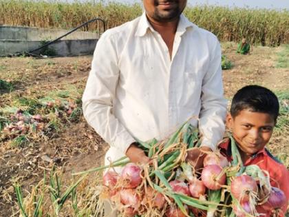 The weeping onion laughed at the yield of 1 lakh in 2 days | रडवणाºया कांद्याने १२० दिवसात २१ लाखांचे उत्पन्न देऊन हसविलं