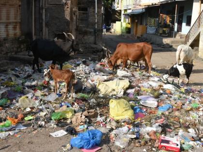 Due to the strike, there were piles of rubbish everywhere | संपामुळे ठिकठिकाणी कचºयाचे ढिग पडून