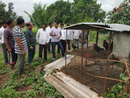 Around an hour leopard's in poultry box at Ambegaon taluka | आंबेगाव तालुक्यात बिबट्याचे कोंबड्यांच्या खुराड्यात तासभर ठाण