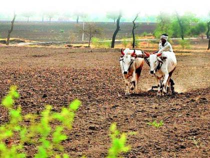 Sowing was delayed due to heavy rains | पावसाने दडी मारल्याने पेरण्या ‌खोळंबल्या