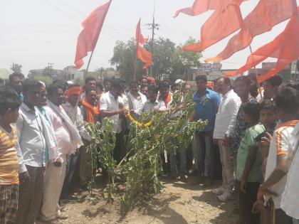 Shivsena's Gandhigiri movement by shamelessly cutting trees | खड्डे दुरुस्तीसाठी बेशर्मीचे झाड लावून शिवसेनेचे गांधीगिरी आंदोलन