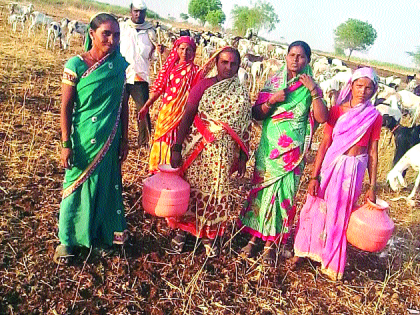 The backbone of the family of Banarwadi families | बनगरवाडी कुटुंबांचा संसार घोड्यांच्या पाठीवर