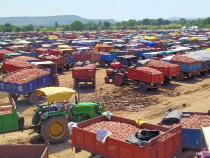 Red onion prices fall by Rs 100 | लाल कांदा दरात १०० रुपयांनी घसरण Red onion prices fall by Rs 100 | लाल कांदा दरात १०० रुपयांनी घसरण