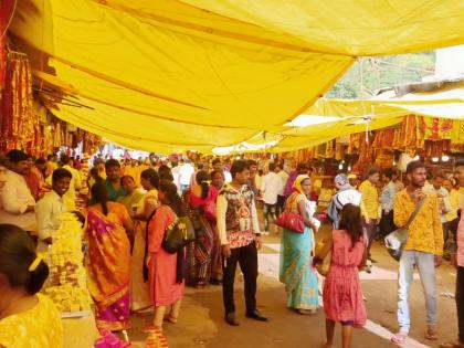 Darshan of Saptashringi Devi from two lakh devotees | दोन लाख भाविकांकडून सप्तश्रृंगीदेवीचे दर्शन