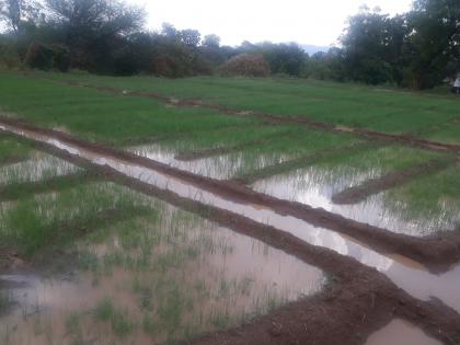 Bomosom rains in Vattar area | वटार परिसरात बेमोसमी पावसाचा तडाखा