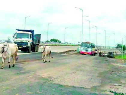 The construction of the Chowpadri Highway has come to an end | चौपदरी महामार्गाचे बांधकाम उठले जीवावर