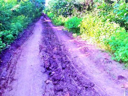 There will never be any roadway in Vishwanagar | विश्वनगर मौजातील पांदण रस्ते कधी होणार