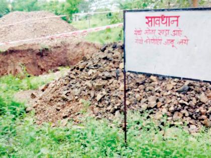  Slaughter of 35 trees for mobile towers | मोबाईल टॉवरसाठी ३५ वृक्षांची कत्तल