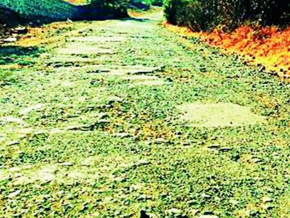 Two tenders on the same road of Zilla Parishad | जिल्हा परिषदेच्या एकाच रस्त्यावर दोन निविदा