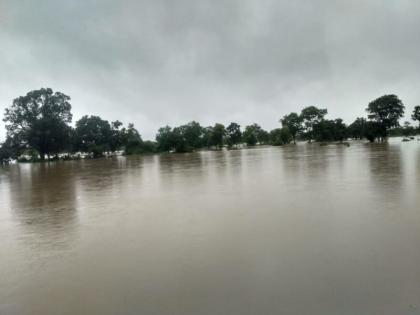 Thunderstorms in Gadchiroli; The bridge was swept away, contact was lost | गडचिरोलीत पावसाचे थैमान; पूल वाहून गेले, संपर्क तुटला