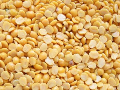 Less production of yellow split pigeon peas in Vidarbha, artificial price rise | विदर्भात तुरीचे उत्पादन कमी, कृत्रिम भाववाढ