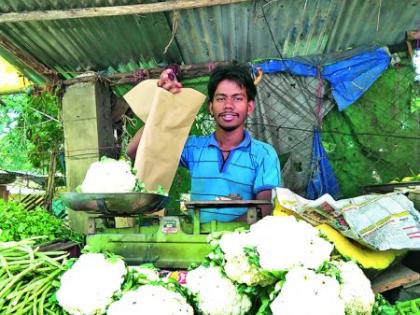 The use of paper and jute bags with cloth has increased | कापडासह कागद व ज्यूटच्या पिशव्यांचा वापर वाढला