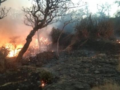 The forest fire was brought under control by the forest workers during the night | तहानेने जीव व्याकूळ झाला तरी 'त्यांनी' रात्रभर जागून विझवली जंगलातील आग