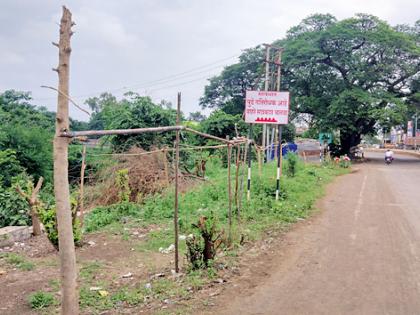 Encroachment by tree trunk on the highway | महामार्गावर वृक्षतोड करून अतिक्रमण