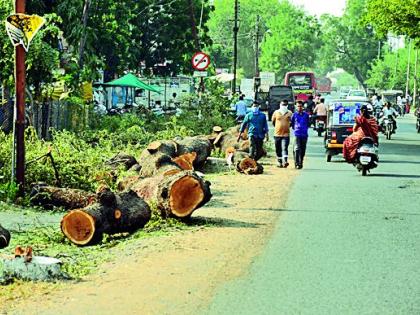 Lock the broken tree on the road to obstruct the traffic | तोडलेले वृक्ष रस्त्यावर टाकल्याने वाहतुकीस अडथळा