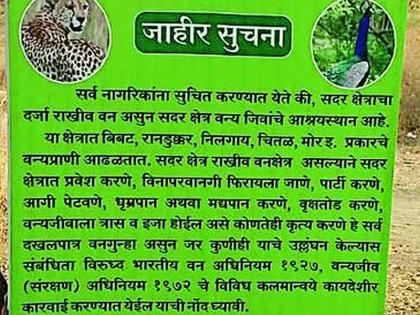 Beware! If you do a party in the forest | खबरदार! जंगलात पार्ट्या कराल तर