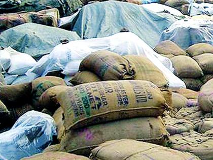 Thousands of quintals of paddy fell on the center due to lack of godown | गोडाऊनअभावी हजारो क्विंटल धान केंद्रावर पडून