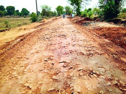 Ghat is being pushed to the road! | रस्त्याची वाट लावण्याचा घातला जातोय घाट!