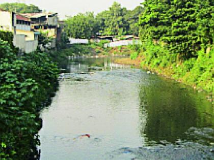 The village of Naga river is contaminated with 5 villages | नाग नदीच्या दूषित पाण्याचा १८६ गावांना बसतो फटका