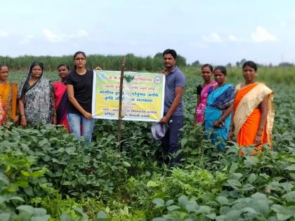 Inspection of soybean crop planted in Ahergaon area | आहेरगांव या परिसरात लागवड झालेल्या सोयाबीन पिकाची पाहणी