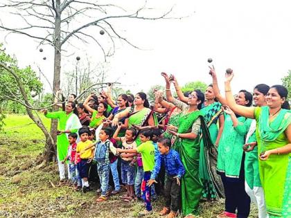 Plantation through the 'Seed Ball' | चिमुकल्यांचे ‘सीड बॉल’च्या माध्यमातून वृक्षारोपण