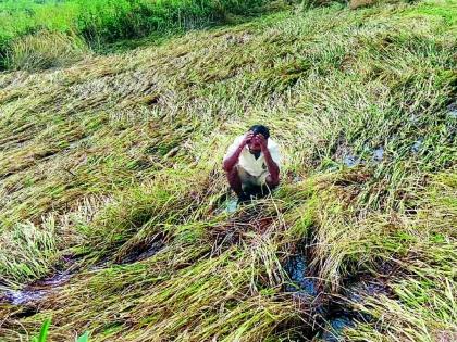 Rain brought water to the eyes | पावसाने आणले डोळ्यात पाणी