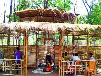 Student goes down to the bamboo farming | विद्यार्थी जेव्हा बांबूच्या शेतीत उतरतात...