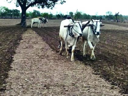 Pay a loan promptly to a farmer who has reached the bank | बँकेत पोहोचलेल्या शेतकऱ्याला तातडीने कर्ज द्या