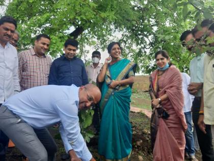 Plantation on Saptashranggada | सप्तशृंगगडावर वृक्षारोपण